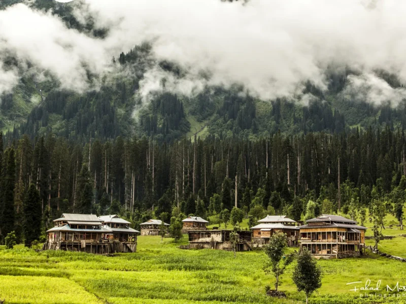 Arang Kel village and meadows above Kel, Neelum Valley