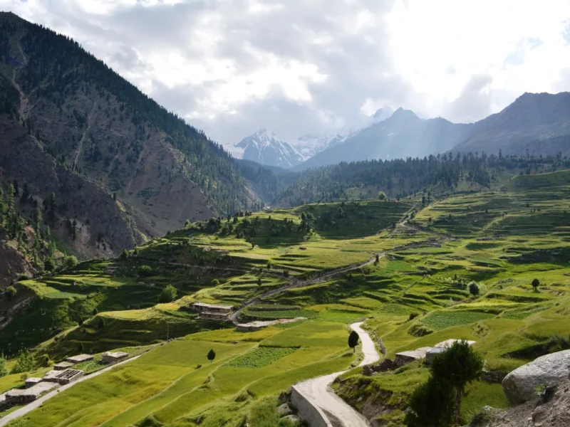 Rama Valley above Astore with terraced fields and forest