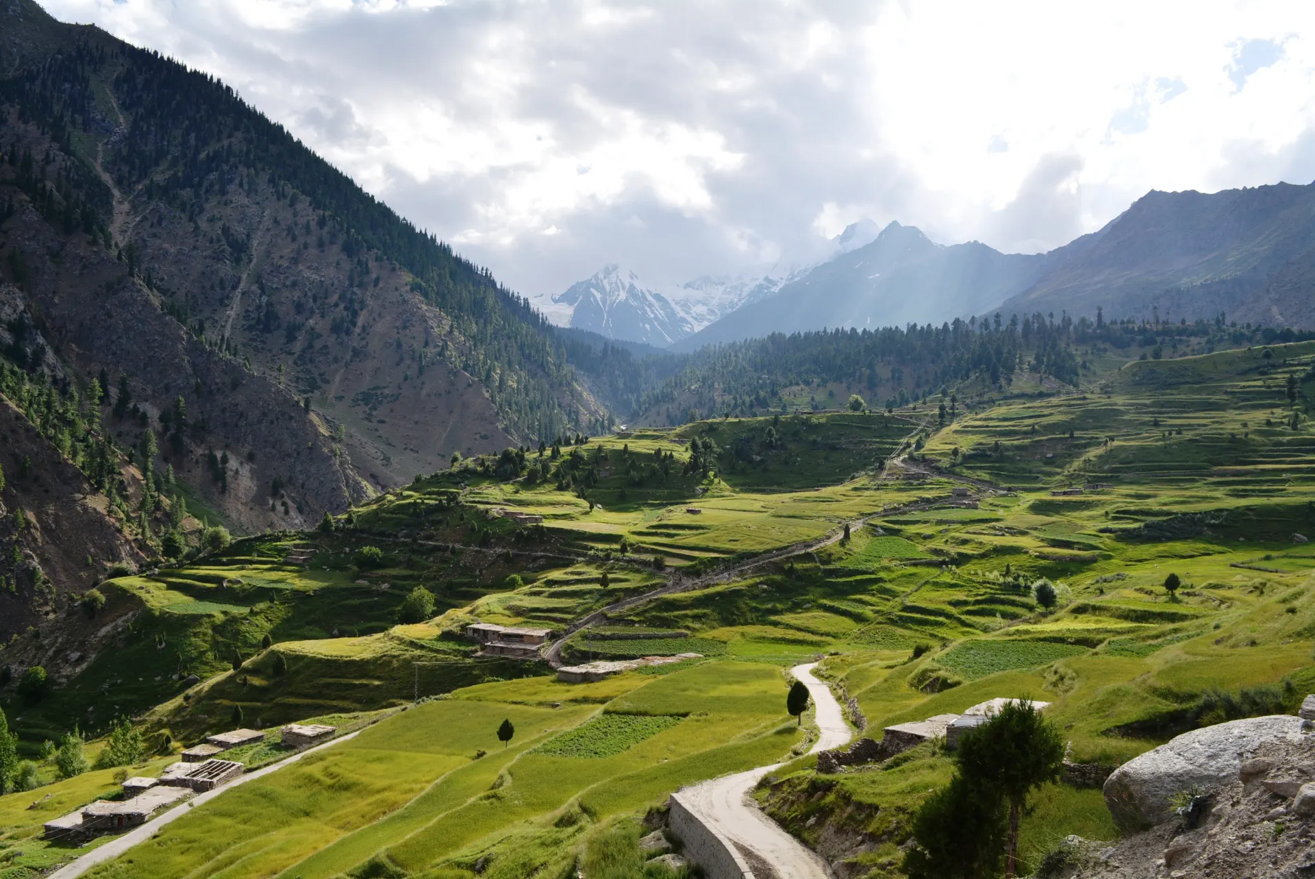 Rama Valley above Astore with terraced fields and forest