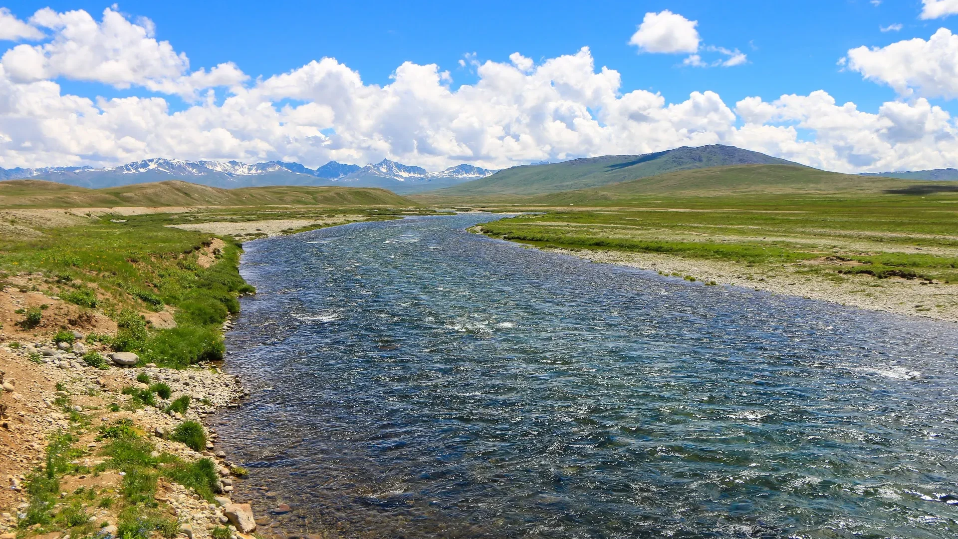 Bara Pani stream crossing the Deosai Plains