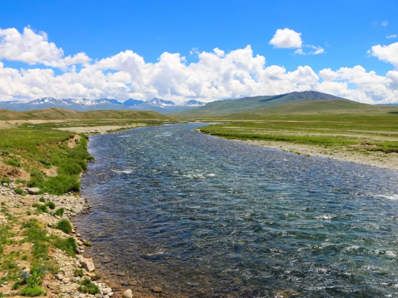 Bara Pani stream crossing the Deosai Plains