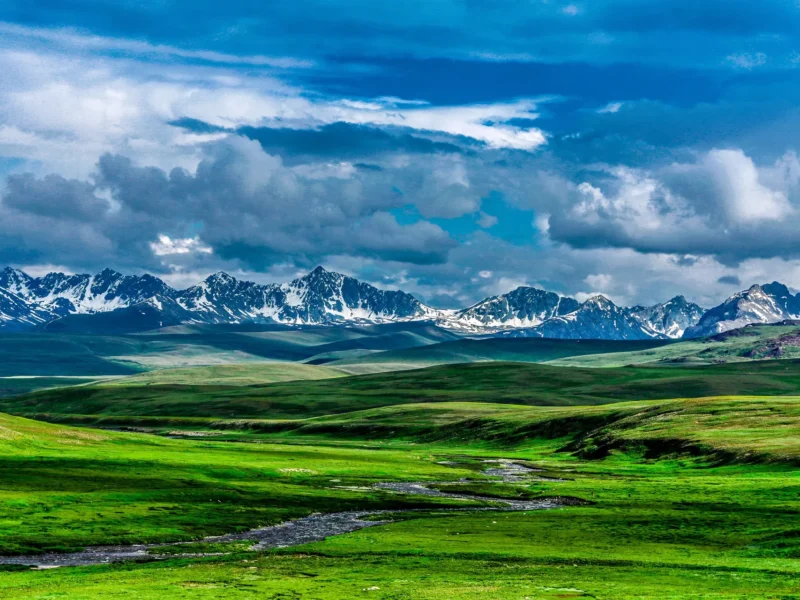 Deosai Plateau carpeted with green grass beneath distant peaks