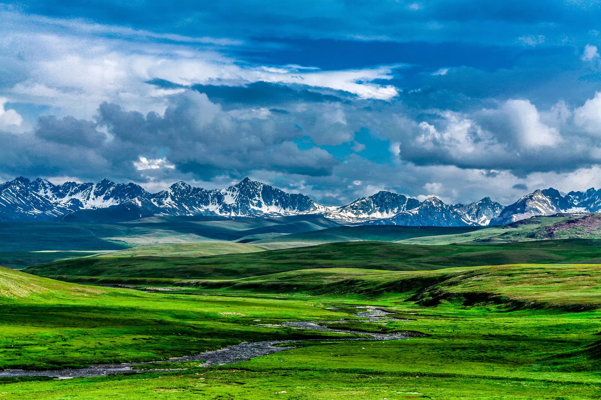 Deosai Plateau carpeted with green grass beneath distant peaks