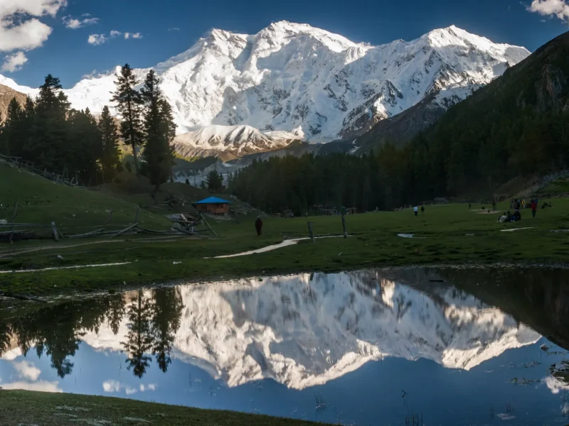 Nanga Parbat reflected in a pond at Fairy Meadows