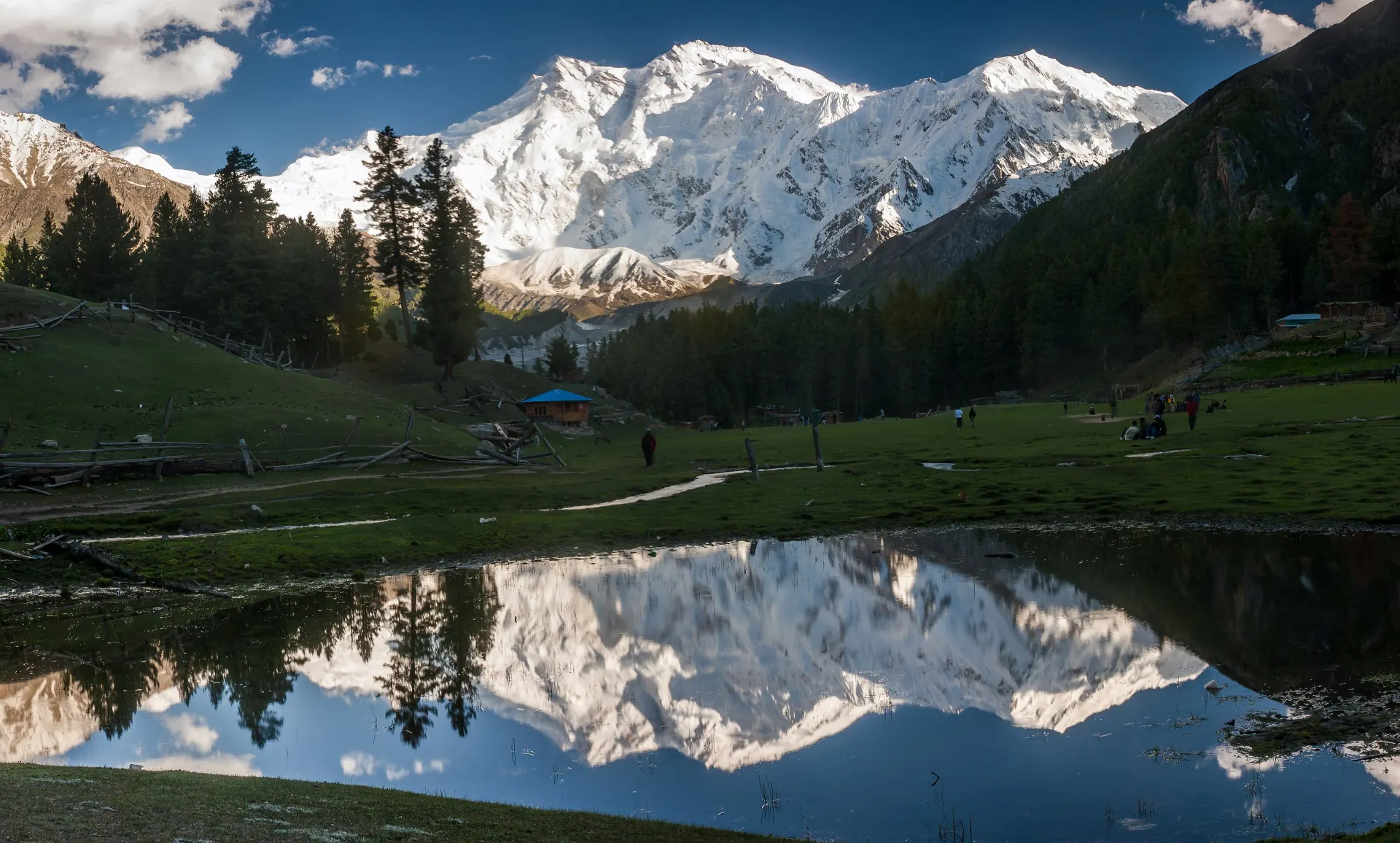 Nanga Parbat reflected in a pond at Fairy Meadows