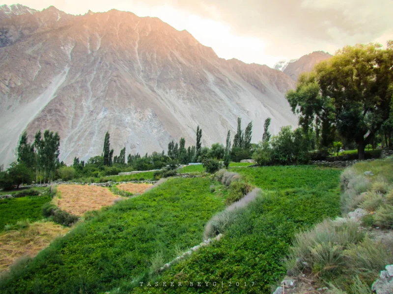 Fields and peaks at Gulmit in Upper Hunza