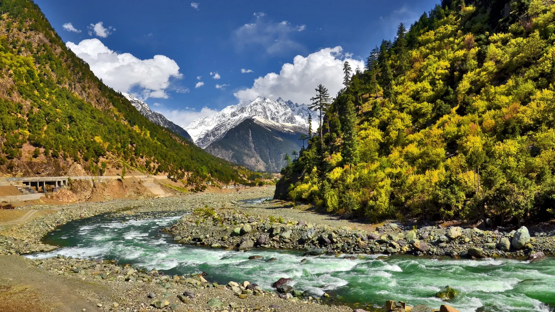 Swat River flowing through forested slopes near Kalam