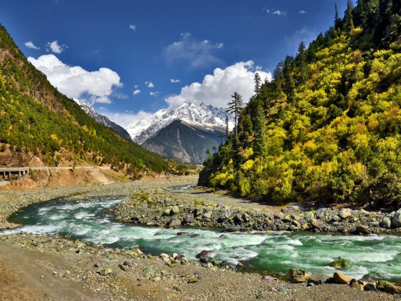 Swat River flowing through forested slopes near Kalam