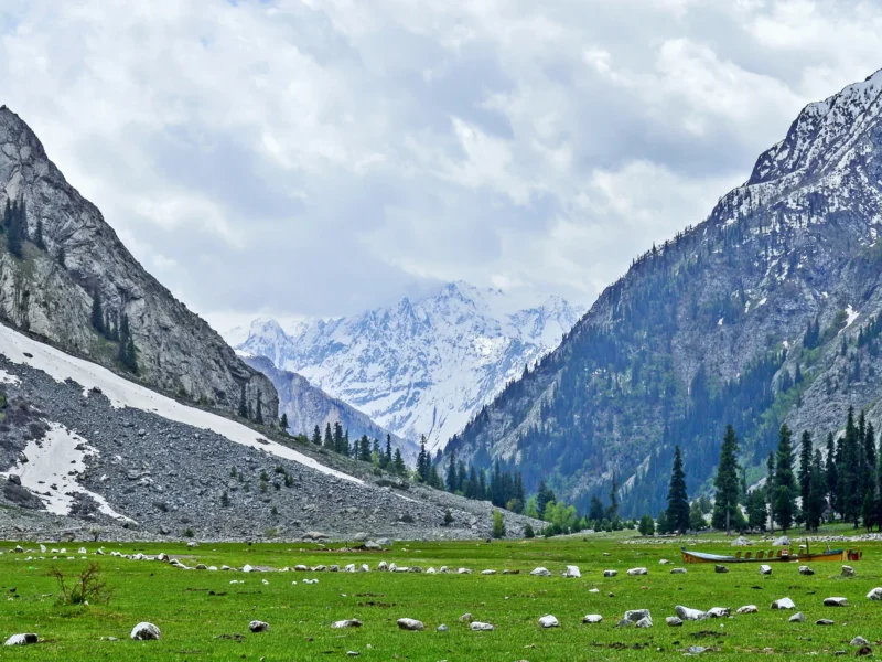 Green meadows and snowy peaks in Kalam Valley, Swat