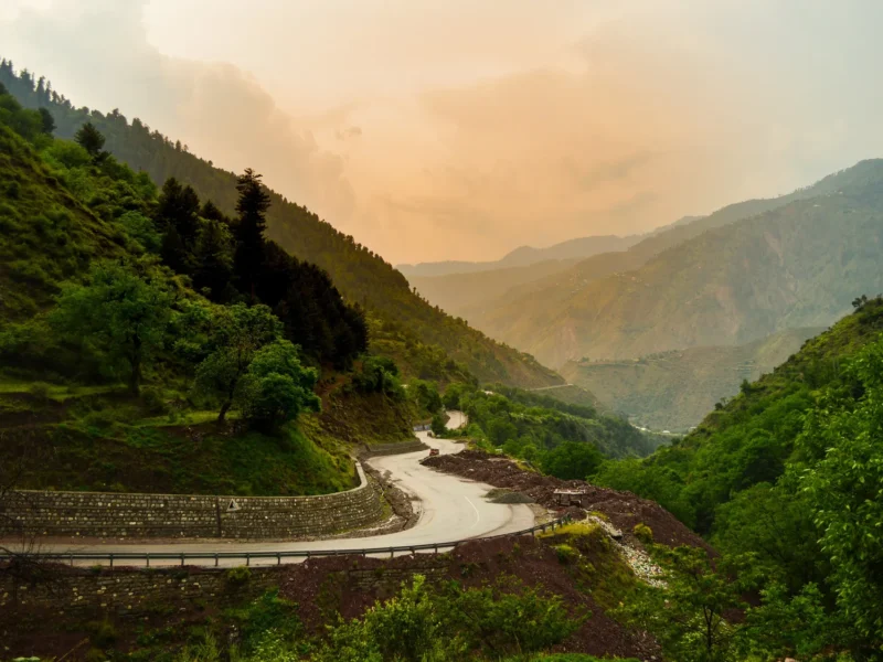 Pine forest around Kewai in the lower Kaghan Valley