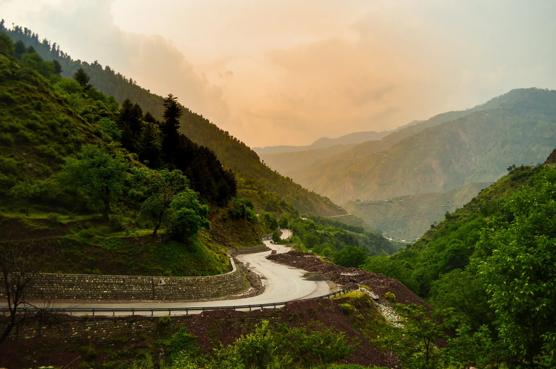 Pine forest around Kewai in the lower Kaghan Valley