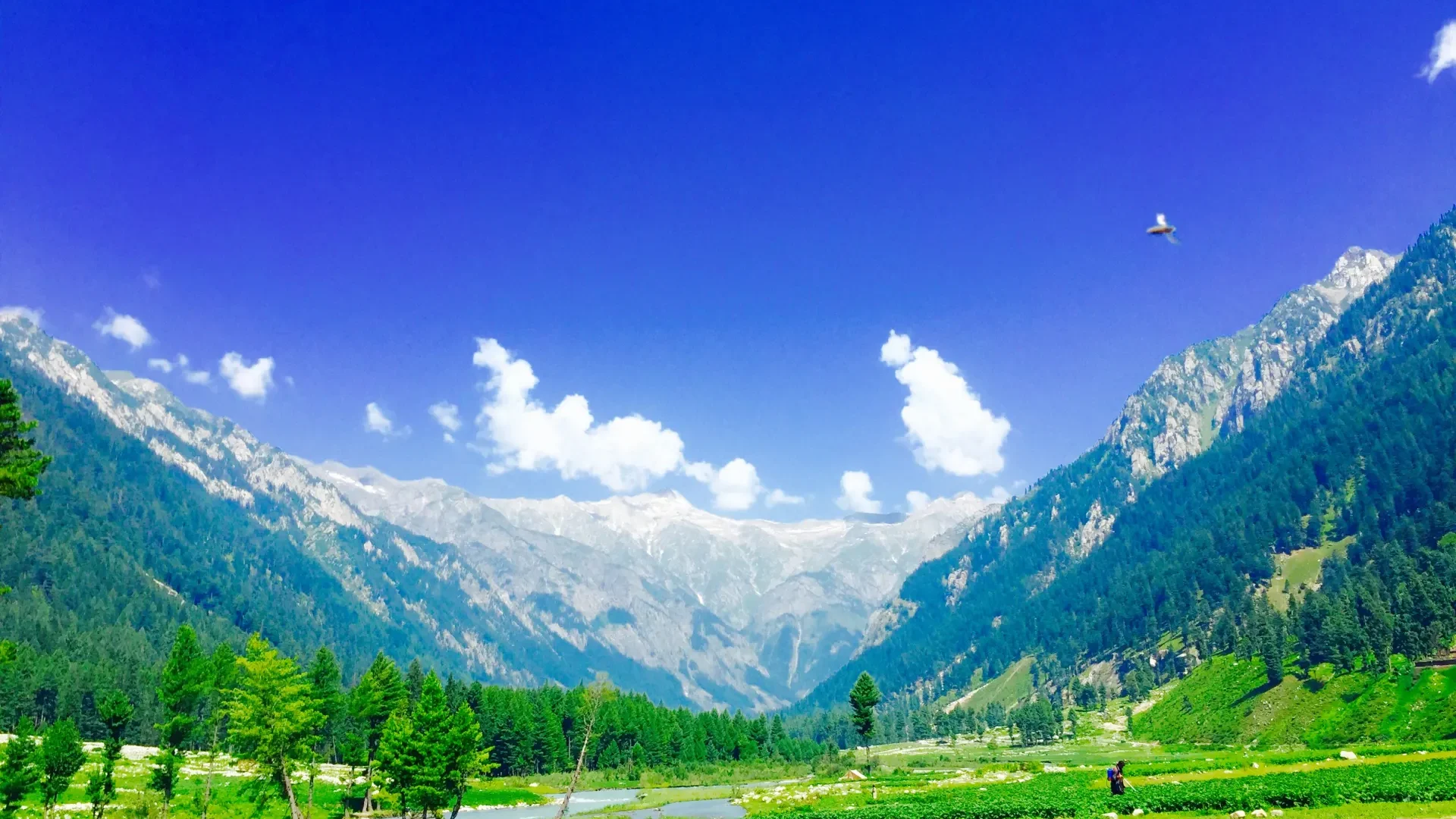 Green meadows and snowy peaks in Kumrat Valley, Upper Dir