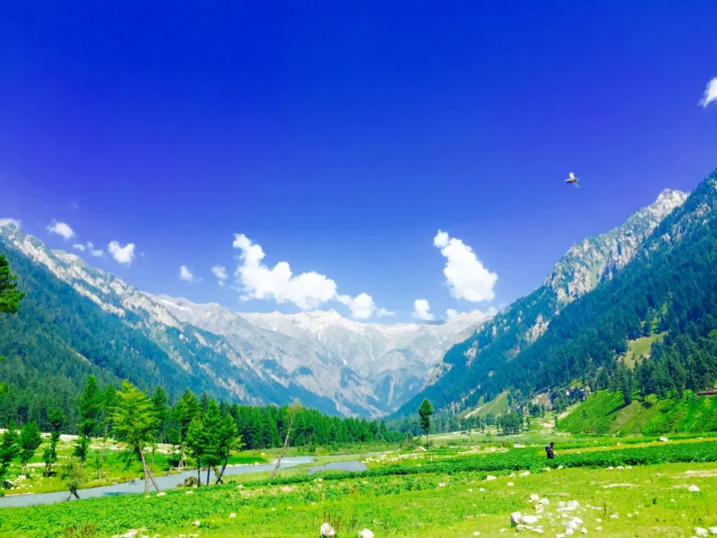 Green meadows and snowy peaks in Kumrat Valley, Upper Dir