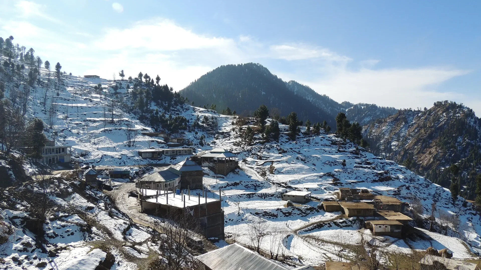 Pine-covered slopes at Malam Jabba in Swat