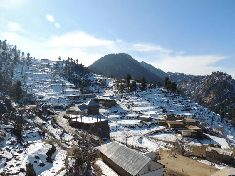 Pine-covered slopes at Malam Jabba in Swat