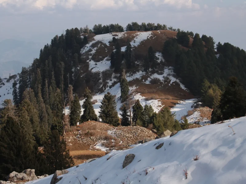 Snow on the slopes of Mushkpuri near Nathia Gali