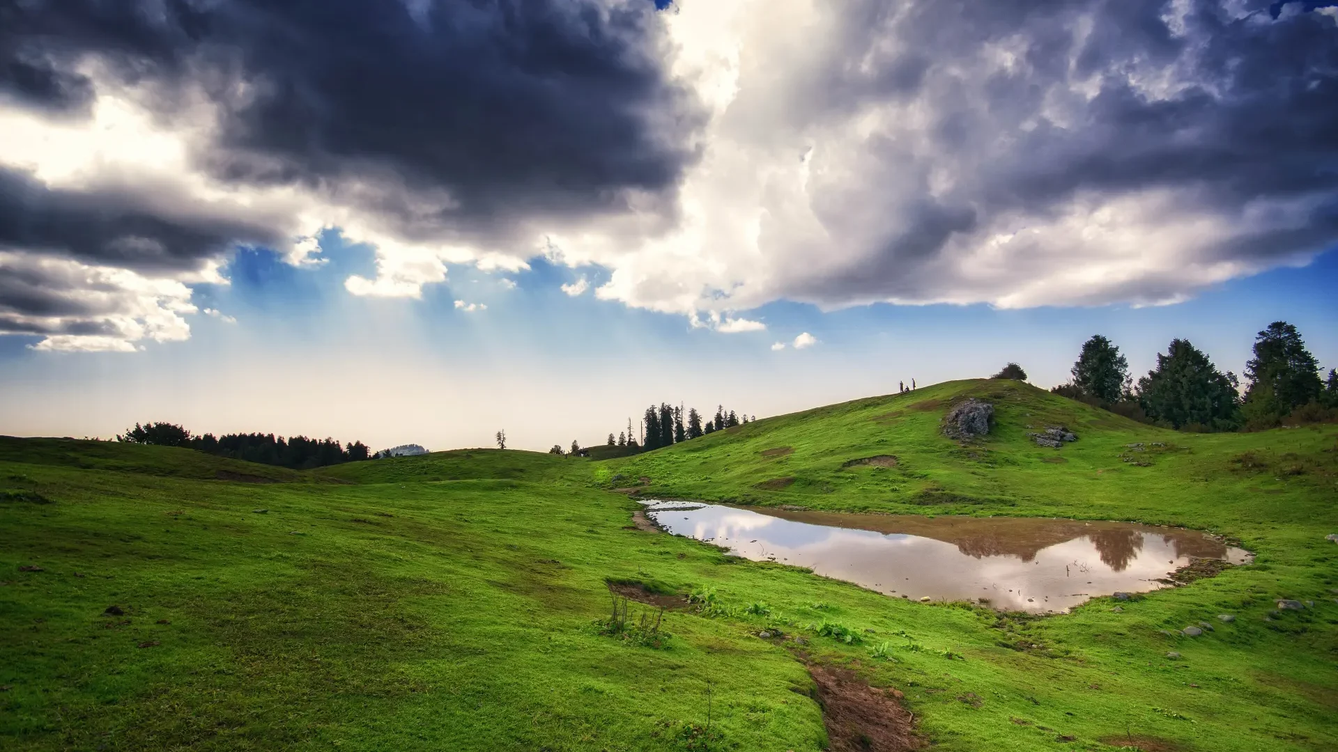 Meadow and pond on Mushkpuri Top above Nathia Gali