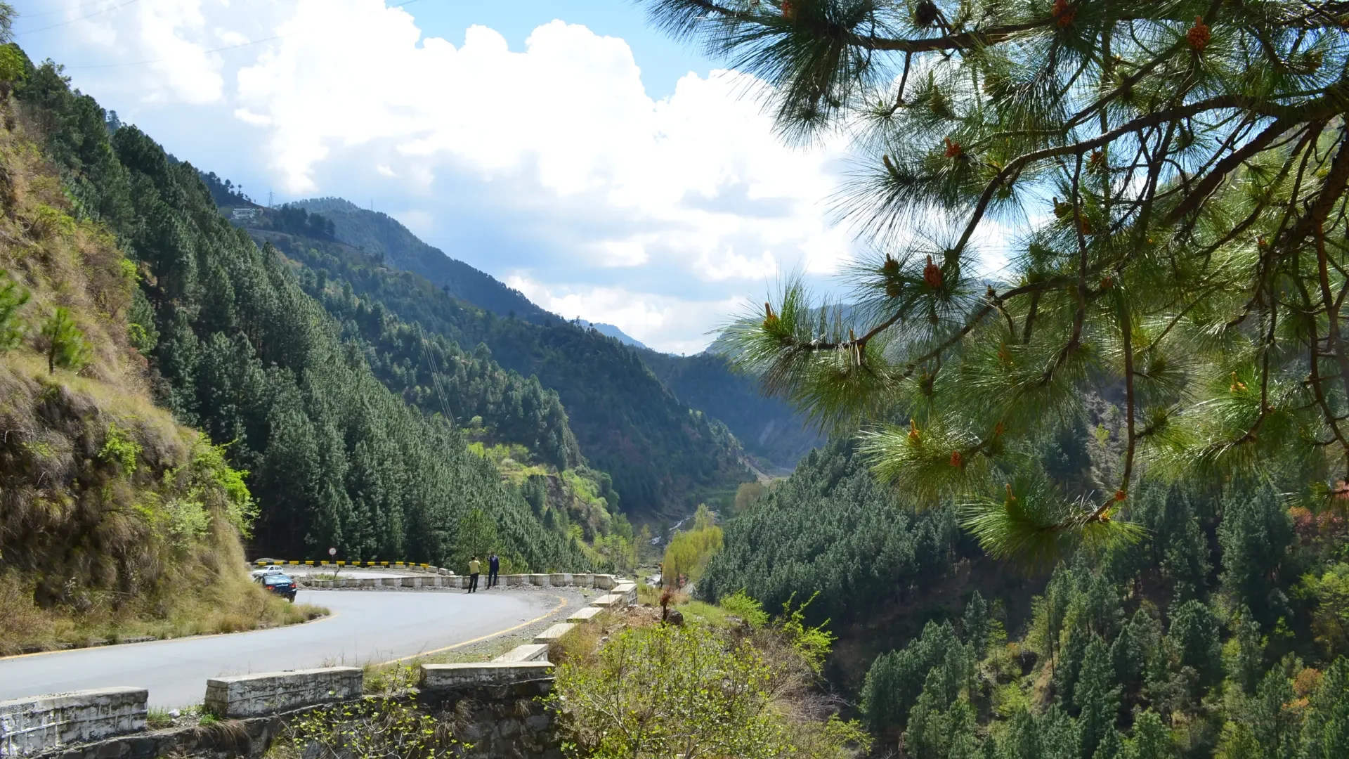 The forested road to Nathia Gali