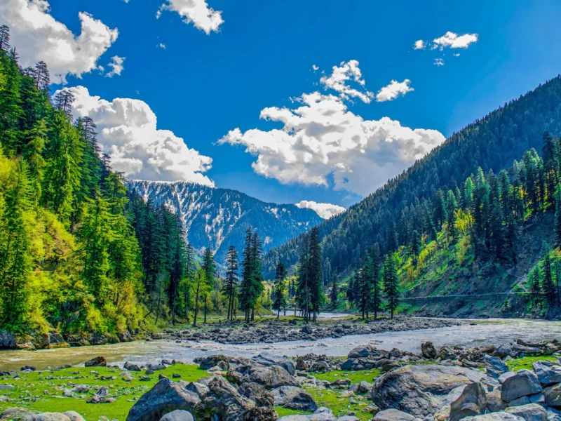 Neelum River winding between forested mountains in Azad Kashmir