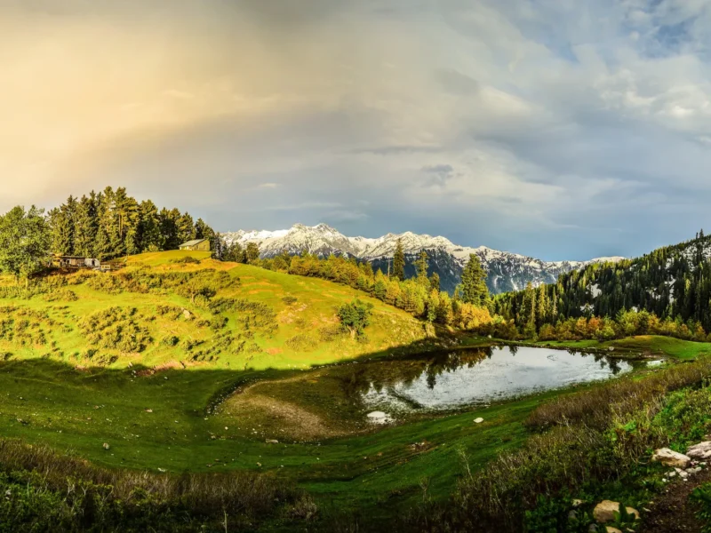 Siri Paye meadows above Shogran in the Kaghan Valley